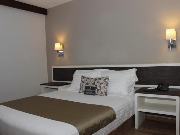 Hotel Plaza Revolución : photo 1 de la chambre chambre lit queen-size