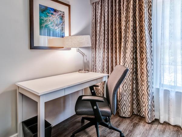 Hotel Indigo Atlanta Vinings, an IHG Hotel : photo 4 de la chambre chambre lit king-size standard avec douche accessible en fauteuil roulant - adaptée aux personnes à mobilité réduite