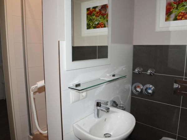 Hotel Baden : photo 8 de la chambre appartement baden