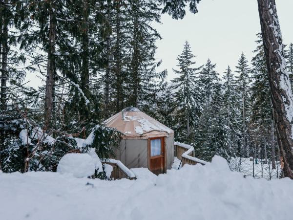 Riverside Resort : photo 3 de la chambre yourte camping #2