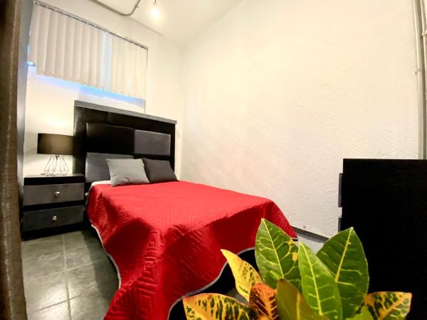 ROOMIES HOSTEL Reforma-El ángel : photo 4 de la chambre chambre simple avec salle de bains commune