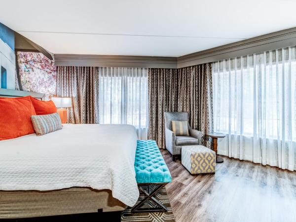 Hotel Indigo Atlanta Vinings, an IHG Hotel : photo 8 de la chambre suite présidentielle avec lit king-size