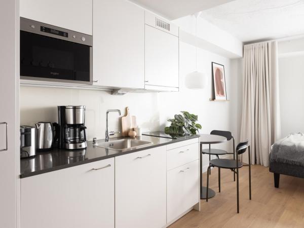 Noli Katajanokka II : photo 5 de la chambre mini-studio