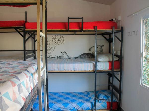 Solar Hostel Búzios : photo 6 de la chambre bed in 14-bed mixed dormitory room 