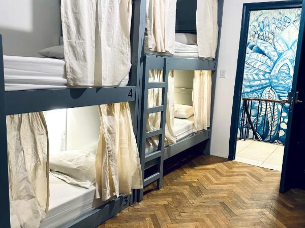 Gorilla Hostel : photo 3 de la chambre lit dans dortoir mixte de 8 lits 