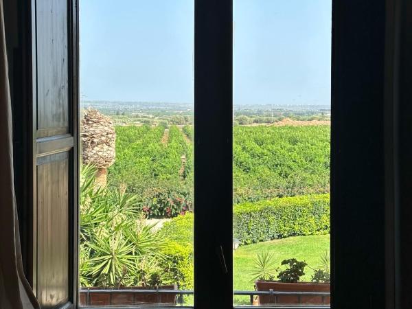 Hotel Lady Lusya : photo 4 de la chambre suite junior deluxe