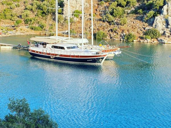 Bluemarmarisgulettour : photo 3 de la chambre mobile home