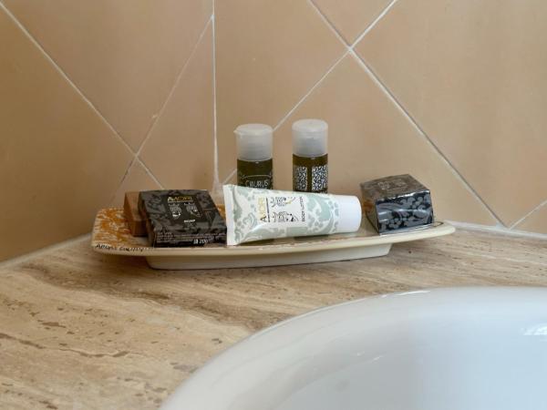 Hotel Lady Lusya : photo 4 de la chambre chambre double standard