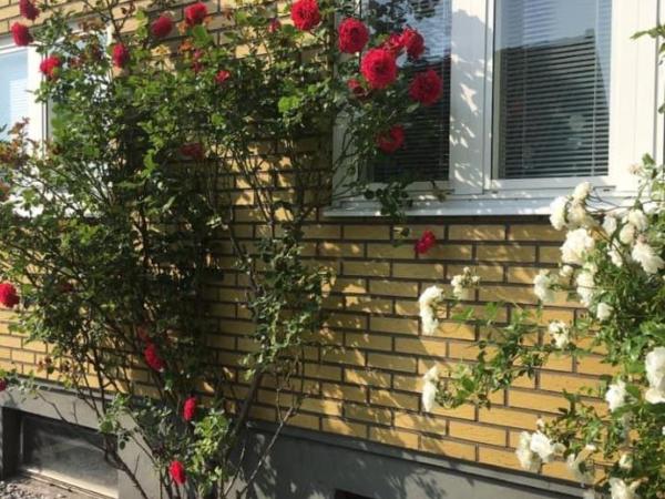 Flamur & Vannis BnB : photo 7 de la chambre chambre double avec salle de bains privative