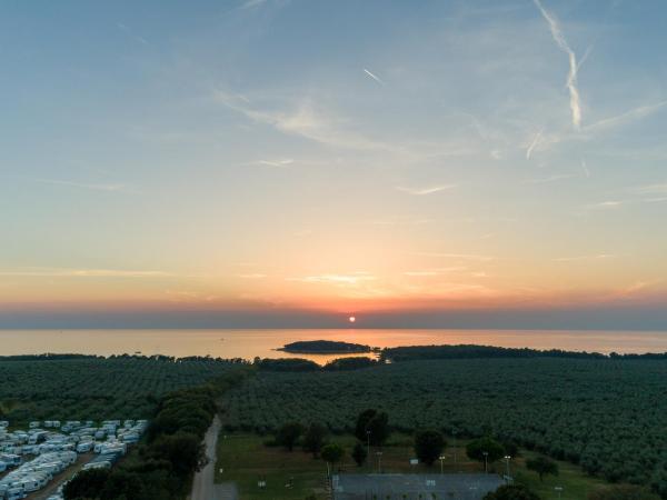 Apartment-Haus Wolbeck : photo 4 de la chambre appartement - vue sur mer