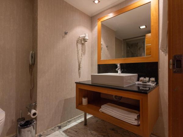 Ankara Plaza Hotel : photo 7 de la chambre chambre simple supérieure