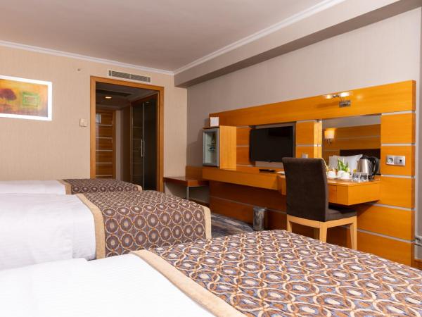 Ankara Plaza Hotel : photo 3 de la chambre chambre triple