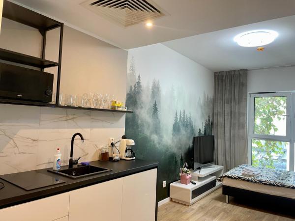 Plac Wolności 6 z klimatyzacją : photo 5 de la chambre appartement