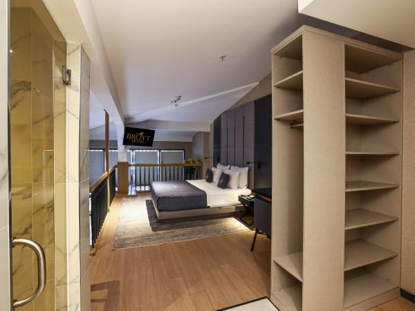 Broyt Hotel : photo 6 de la chambre chambre supérieure penthouse