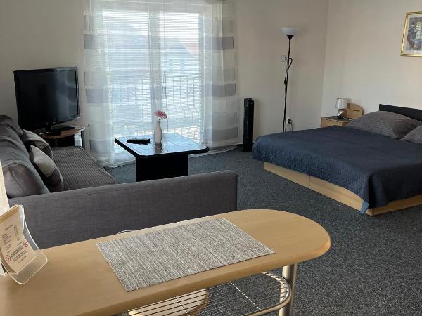 Penzion Ariane : photo 3 de la chambre studio (1 adulte)