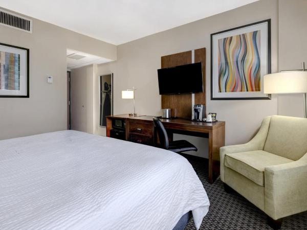 Holiday Inn Houston Downtown, an IHG Hotel : photo 8 de la chambre chambre lit king-size standard