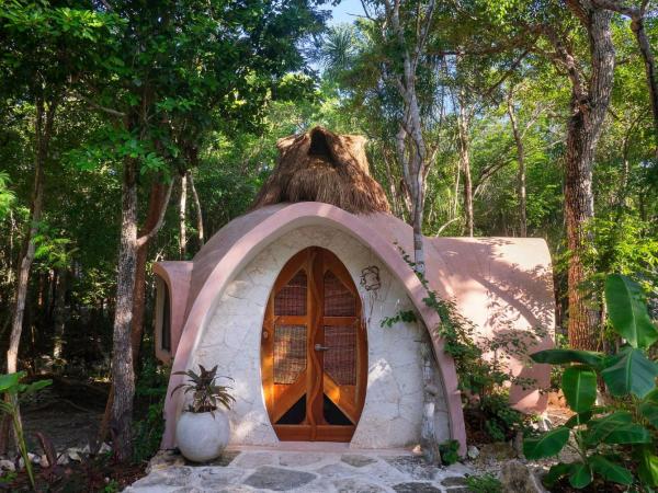 Room in Lodge - Ecolush Couple Mayan Dome cenote Bikes : photo 8 de la chambre  chambre double
