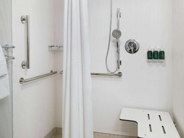 Sonesta Select Charlotte University Research Park : photo 5 de la chambre chambre lit king-size avec douche accessible en fauteuil roulant - adaptée aux personnes à mobilité réduite/malentendantes