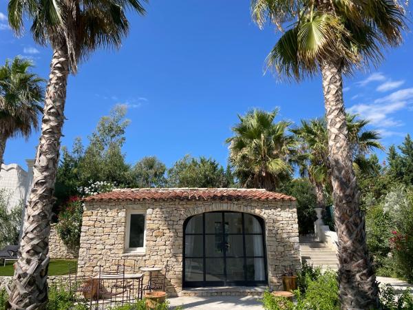 Maison Blue Palm Aix en Provence : photo 5 de la chambre villa avec piscine privée