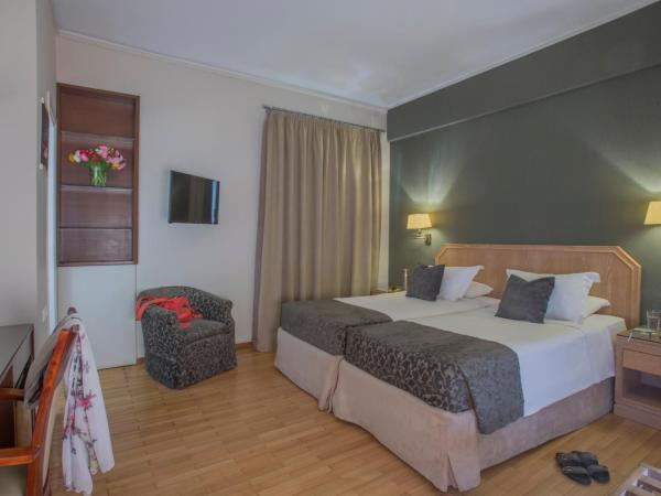 Delice Hotel - Family Apartments : photo 7 de la chambre chambre double ou lits jumeaux