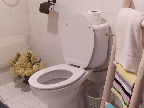 maison d'hôtes Le petit jardin Marrakech : photo 1 de la chambre chambre deluxe (2 adultes + 1 enfant)