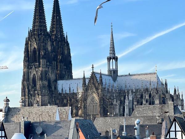 Altstadthotel Hayk am Rhein : photo 4 de la chambre penthouse apartment - fifth floor with dom cathedral view  