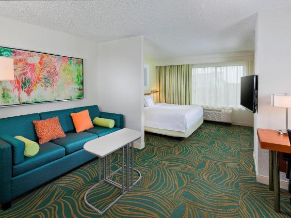 SpringHill Suites by Marriott Orlando Lake Buena Vista in Marriott Village : photo 2 de la chambre studio lit king-size avec canapé-lit