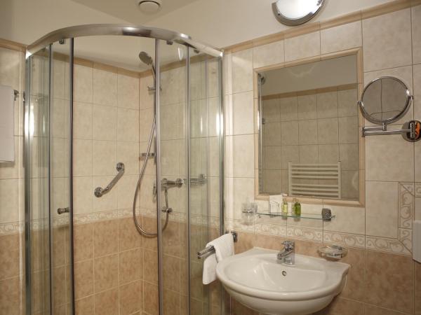 Bristol Kralovska Vila : photo 1 de la chambre chambre simple standard