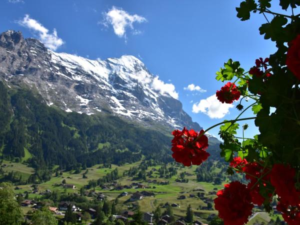 Hotel Cabana : photo 5 de la chambre chambre double supérieure enzian avec accès au jardin - vue sur eiger