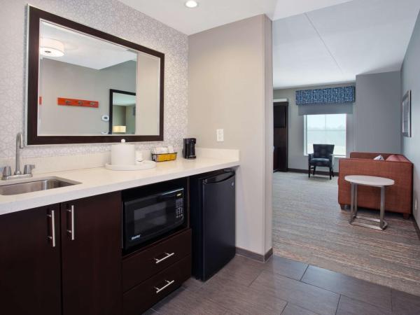 Hampton Inn & Suites Columbia/Southeast-Fort Jackson : photo 1 de la chambre suite studio lit king-size - non-fumeurs