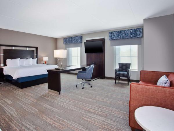 Hampton Inn & Suites Columbia/Southeast-Fort Jackson : photo 2 de la chambre suite studio lit king-size - non-fumeurs