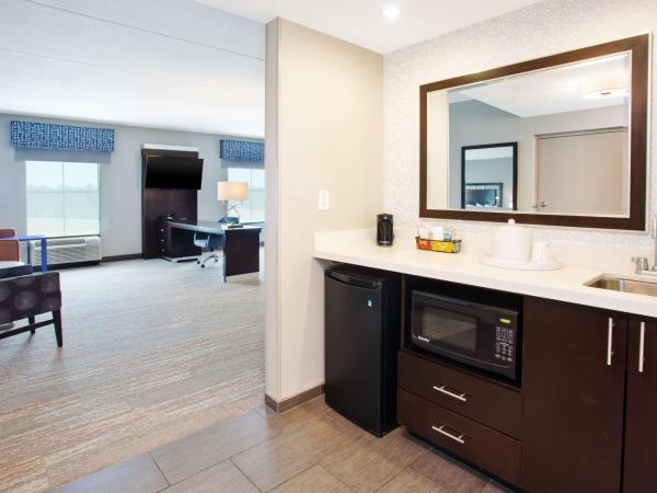 Hampton Inn & Suites Columbia/Southeast-Fort Jackson : photo 3 de la chambre suite studio lit king-size - non-fumeurs