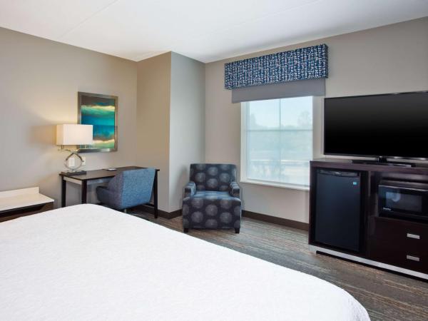 Hampton Inn & Suites Columbia/Southeast-Fort Jackson : photo 2 de la chambre chambre lit king-size - non-fumeurs