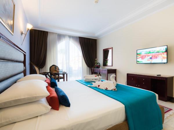 Pickalbatros Aqua Fun Club All inclusive : photo 5 de la chambre chambre double standard