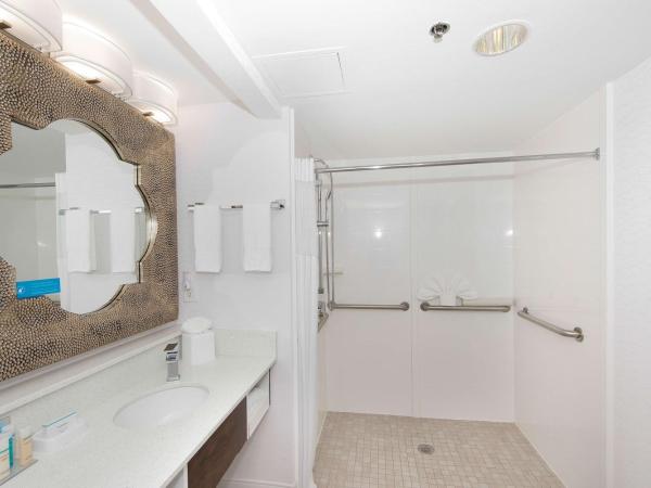 Hampton Inn & Suites Atlanta-Galleria : photo 2 de la chambre chambre lit king-size avec douche accessible en fauteuil roulant -adaptée aux personnes à mobilité réduite/malentendantes - non-fumeurs