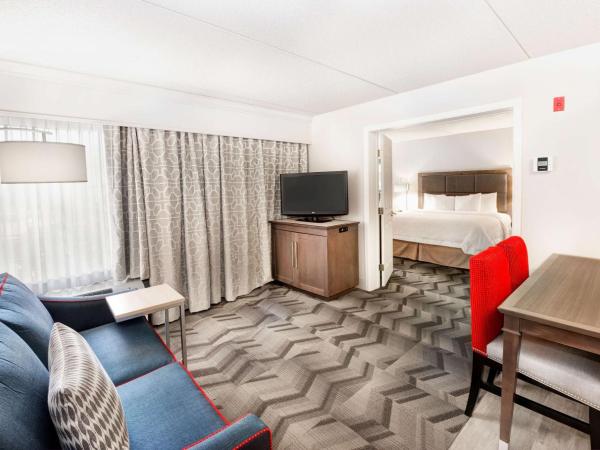 Hampton Inn & Suites Atlanta-Galleria : photo 6 de la chambre suite 1 chambre lit king-size - non fumeurs 