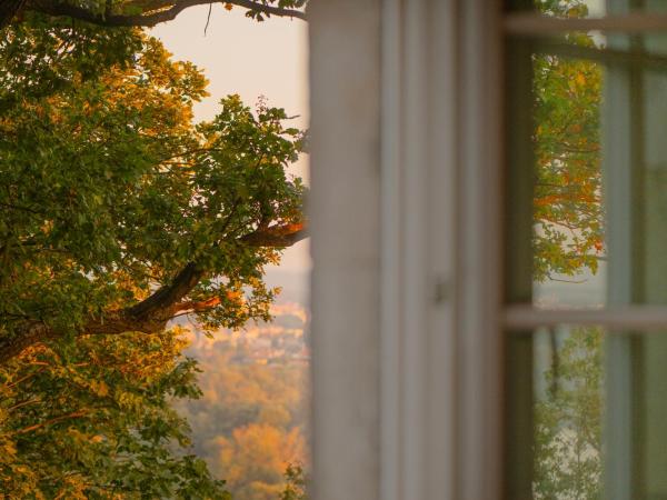 Zinar Castle : photo 9 de la chambre grand 