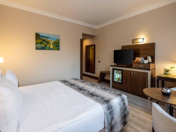 Elite Hotel Dragos : photo 2 de la chambre chambre double ou lits jumeaux standard