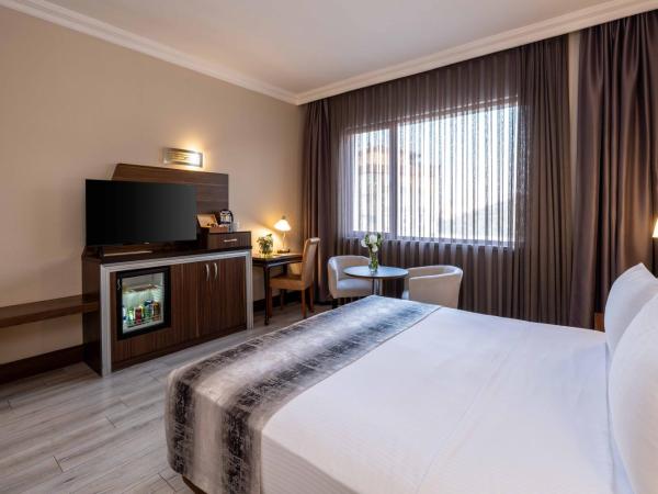 Elite Hotel Dragos : photo 3 de la chambre chambre double ou lits jumeaux standard