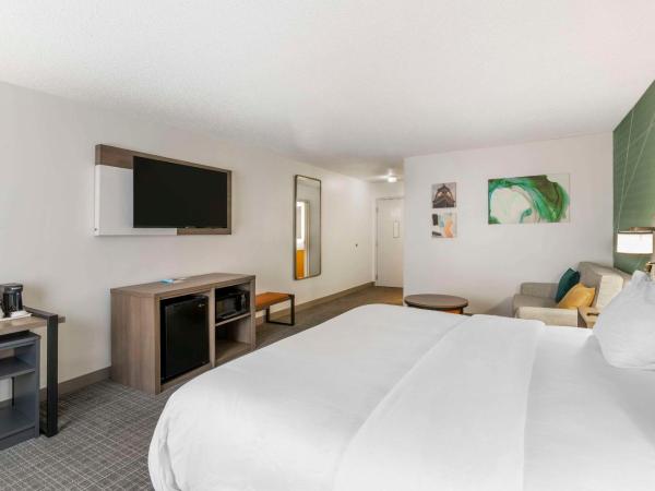 Comfort Inn & Suites Louisville Airport Fair & Expo : photo 2 de la chambre suite lit king-size - non-fumeurs