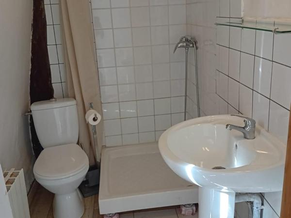 HOTEL LE FONTENOY : photo 3 de la chambre chambre simple avec salle de bains privative