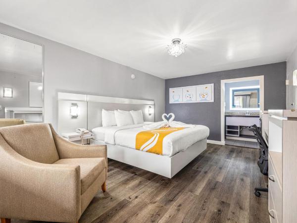 Quality Inn and Conference Center Tampa-Brandon : photo 1 de la chambre chambre lit king-size standard