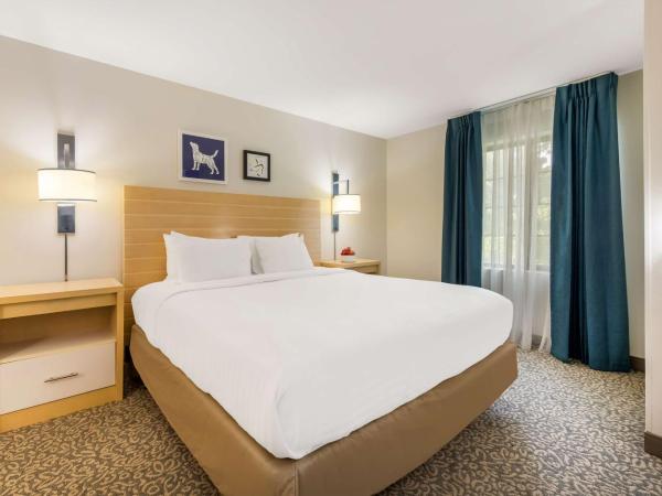 Sonesta ES Suites Charlotte Arrowood : photo 1 de la chambre studio lit king-size