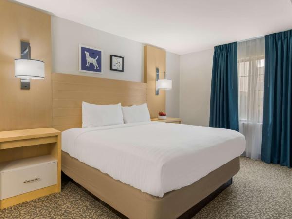 Sonesta ES Suites Charlotte Arrowood : photo 6 de la chambre suite 1 chambre lit king-size