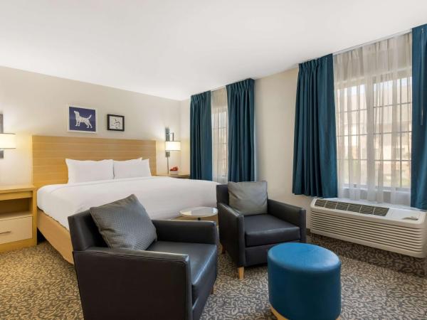 Sonesta ES Suites Charlotte Arrowood : photo 5 de la chambre studio lit king-size