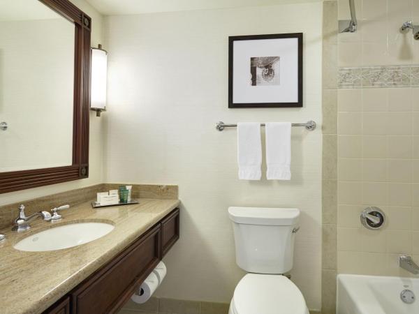 Hilton New Orleans Riverside : photo 4 de la chambre chambre lit king-size - vue sur ville