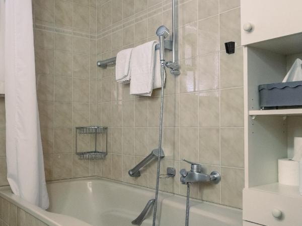 Hotel Silberhorn - Residences & Spa Wengen : photo 6 de la chambre chalet miravalle - appartement jungfrau