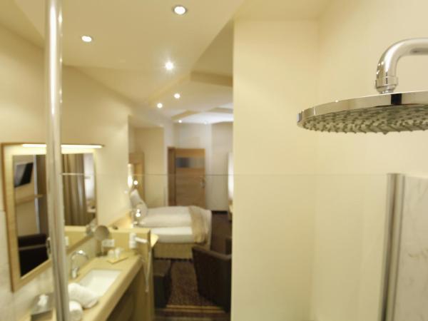 Hotel Villa Will : photo 5 de la chambre chambre double affaires