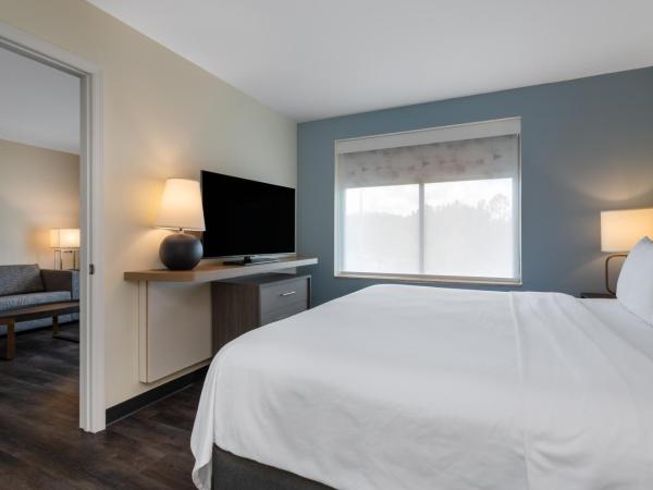 Holiday Inn - Tampa North, an IHG Hotel : photo 1 de la chambre suite lit king-size – non-fumeurs