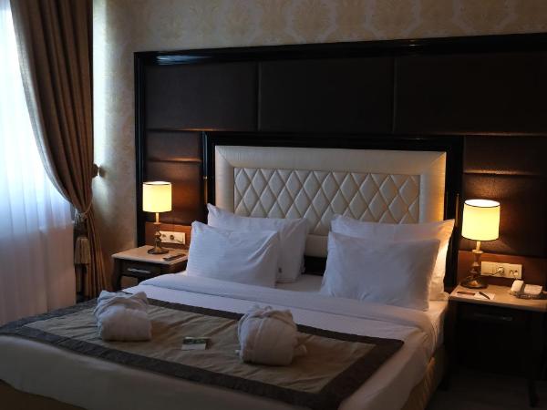 Asia City Hotel Istanbul : photo 4 de la chambre suite